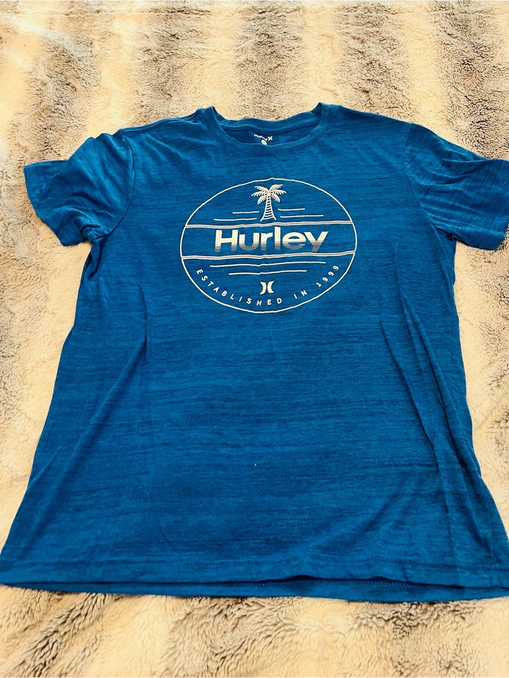 Hurley Men’s Teal Blue Graphic Palm Logo Tee